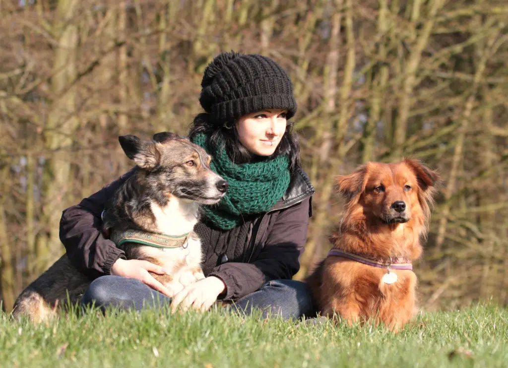Fellfreunde Über Fellfreunde e.V. Tiervermittlung