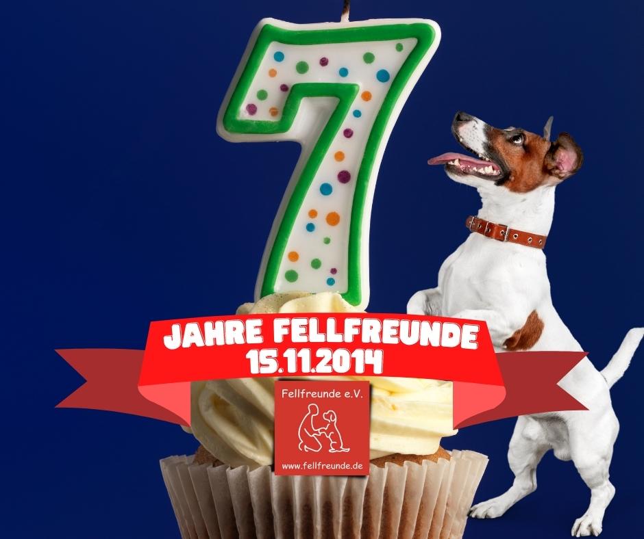 Fellfreunde feiern Geburtstag