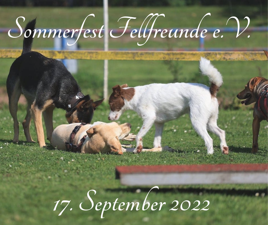 Fellfreunde Sommerfest 2022