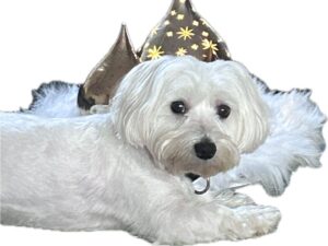 WhatsApp Bild 2025-09-28 um 11.09.06_29115507