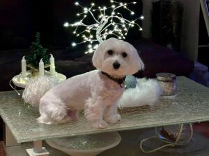 WhatsApp Bild 2025-09-28 um 11.09.07_4fcfd51c