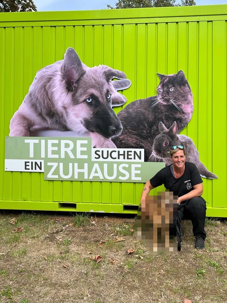 Fellfreunde Zu Besuch bei Tiere suchen ein Zuhause in Köln