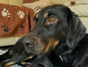 WhatsApp Bild 2025-10-05 um 15.20.30_11161280