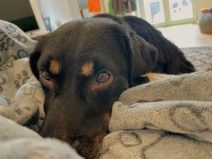 WhatsApp Bild 2025-10-07 um 08.30.38_a89fdb98