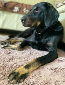 WhatsApp Bild 2025-10-11 um 14.34.25_03db1a26