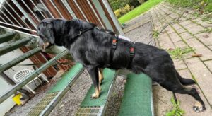 WhatsApp Bild 2025-10-11 um 14.34.25_b48857a6