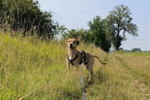 WhatsApp Bild 2025-09-14 um 11.12.28_8c7abd4c