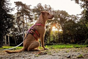 WhatsApp Bild 2025-09-14 um 11.12.28_b1affacf