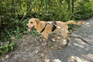 WhatsApp Bild 2025-09-14 um 11.12.28_b36c431c