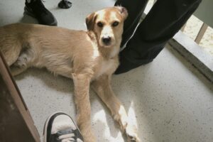 WhatsApp Bild 2025-09-14 um 11.12.28_c5c53fec