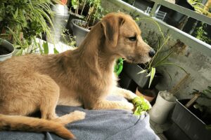 WhatsApp Bild 2025-09-14 um 11.12.28_ce7d7697