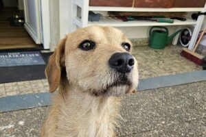 WhatsApp Bild 2025-09-14 um 11.12.28_e1366612