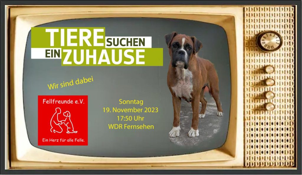 Fellfreunde TV Ausstrahlung am 19.11.2023 "Tiere suchen ein zu Hause"