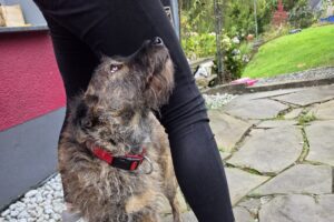 WhatsApp Bild 2025-09-21 um 16.29.03_8c106dfa