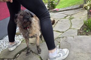 WhatsApp Bild 2025-09-21 um 16.29.04_5027f3a8