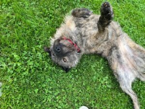 WhatsApp Bild 2025-09-21 um 16.29.12_55516a33