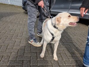 WhatsApp Bild 2025-10-04 um 14.39.51_180f5c6a