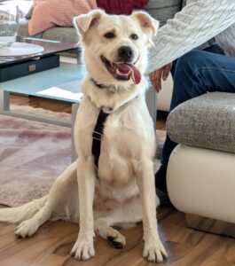 WhatsApp Bild 2025-10-04 um 16.07.07_8ea923a3