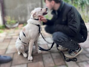 WhatsApp Bild 2025-10-04 um 16.07.07_f261bf98