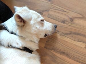 WhatsApp Bild 2025-10-04 um 16.58.07_2beab256