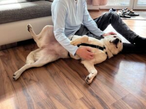 WhatsApp Bild 2025-10-04 um 18.53.57_0bf55b14