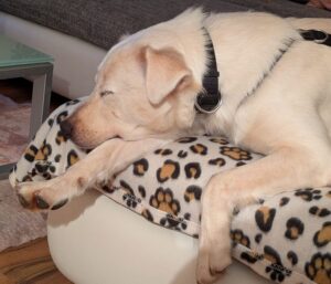 WhatsApp Bild 2025-10-04 um 20.10.51_bf739d94