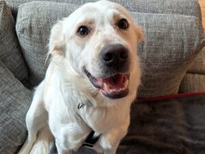 WhatsApp Image 2025-12-07 at 13.09.55