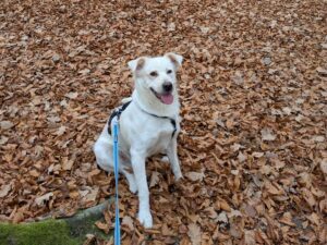 WhatsApp Image 2025-12-07 at 13.09.56