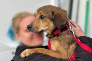 WhatsApp Bild 2025-10-04 um 17.36.26_a9261163