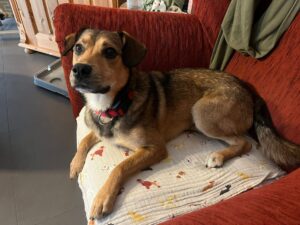 WhatsApp Bild 2025-10-20 um 12.46.03_32e2f319