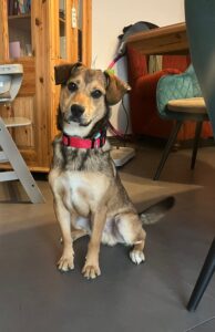 WhatsApp Bild 2025-10-20 um 12.46.04_2da44869