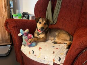 WhatsApp Bild 2025-10-20 um 12.46.04_aee0222a