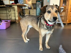 WhatsApp Bild 2025-10-20 um 12.46.04_f6600656