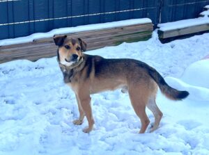 WhatsApp Image 2026-01-27 at 09.35.43