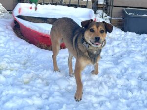 WhatsApp Image 2026-01-27 at 09.35.46