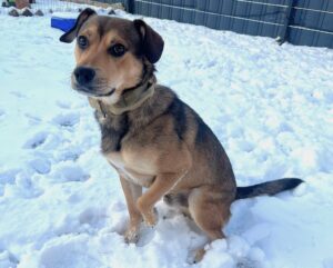 WhatsApp Image 2026-01-27 at 09.36.05