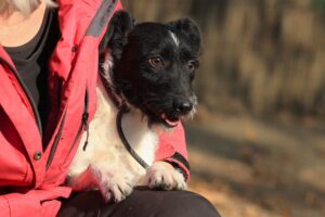 Fellfreunde Start 5 Fellfreunde Start