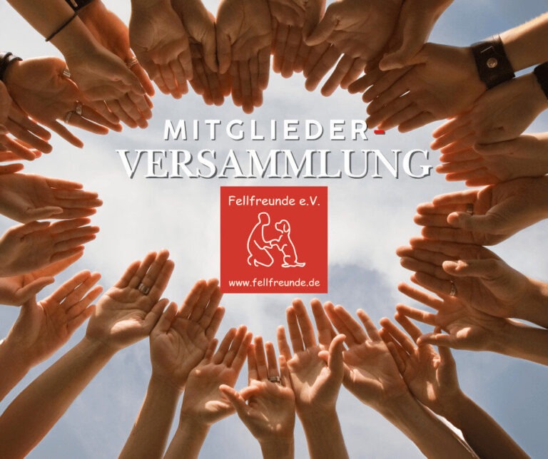 Fellfreunde Start 17 Fellfreunde Start