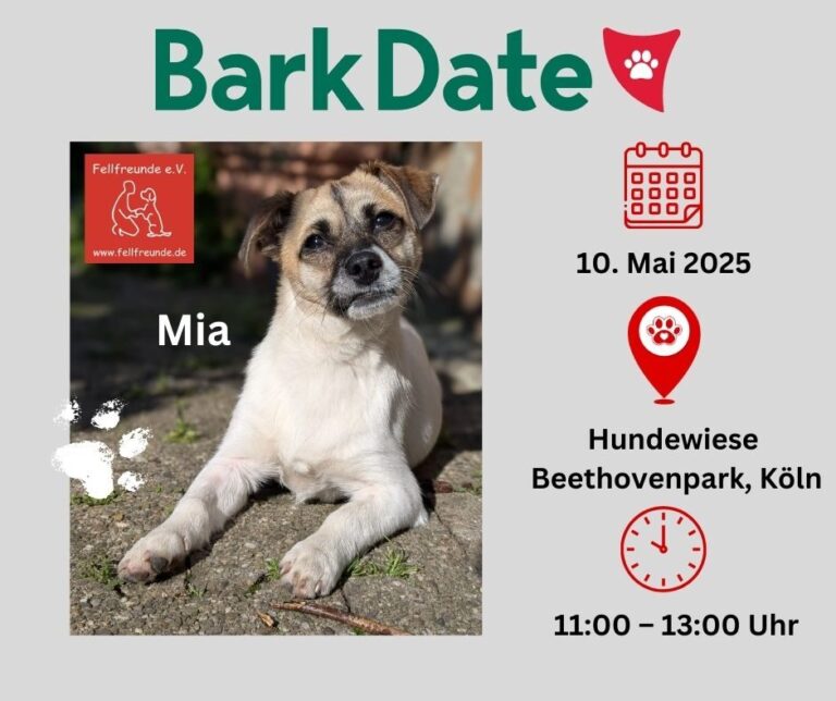 Fellfreunde Start 17 Fellfreunde Start