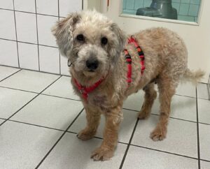 WhatsApp Bild 2025-12-08 um 15.39.43_bcb6642e