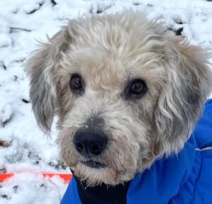 WhatsApp Image 2026-01-07 at 16.39.16 (1)