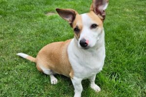 WhatsApp Bild 2025-10-10 um 13.42.39_476914fb