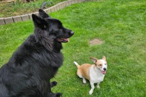 WhatsApp Bild 2025-10-10 um 13.42.39_7e06967e