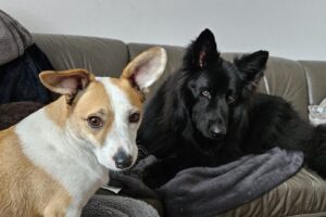 WhatsApp Bild 2025-10-10 um 13.49.18_f39390b5