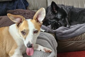 WhatsApp Bild 2025-10-10 um 13.51.21_a92e9ab7