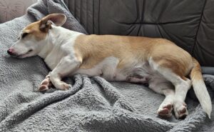 WhatsApp Bild 2025-10-10 um 14.10.19_d9f510b9