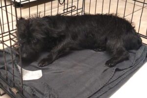 WhatsApp Bild 2025-06-17 um 08.50.11_a0c1fe93