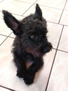 WhatsApp Bild 2025-07-12 um 14.16.21_bdc6a51e