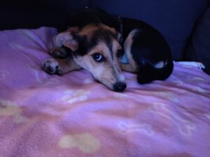 WhatsApp Bild 2025-08-24 um 13.08.04_c05d644c