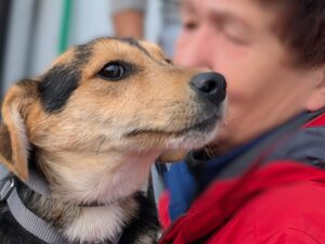 WhatsApp Bild 2025-10-04 um 14.39.34_98af5bad